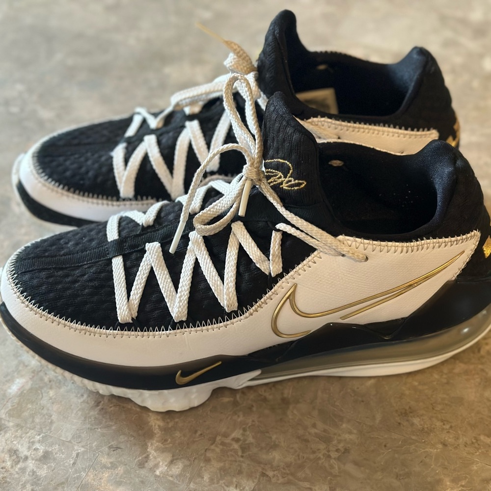 Lebron 17 Low shoes